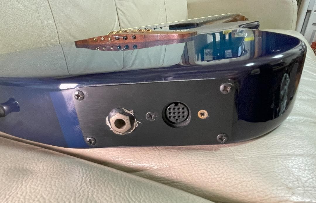 【最終値下げ】Godin Multiac Nylon SA ゴダン エレガット