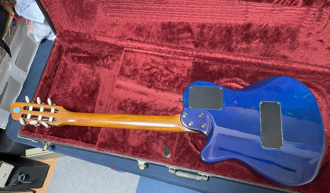 【最終値下げ】Godin Multiac Nylon SA ゴダン エレガット