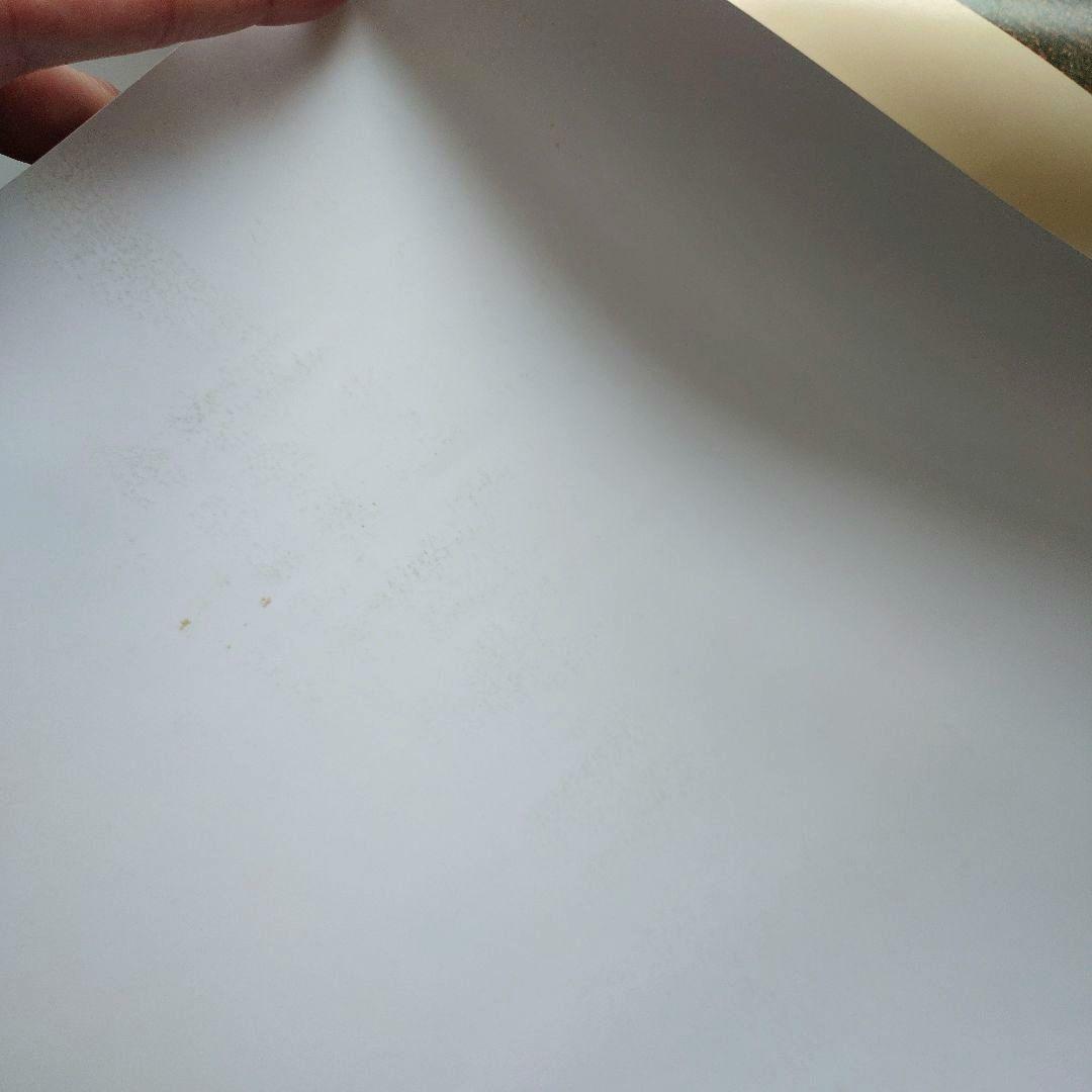 アンドリュー・ワイエス　大判ポスター　Andrew・Wyeth