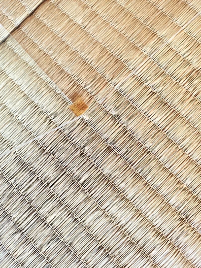 フランス人形　スキヨ人形　SUKIYO DOLLS　リボン　　昭和レトロ　ドレス