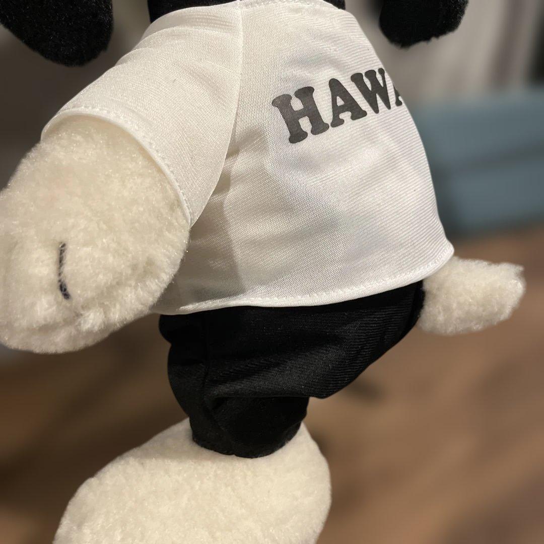 【HAWAII限定品】スヌーピー ぬいぐるみ サーフィン