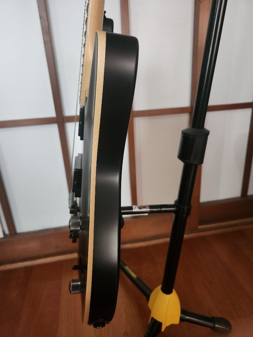 フジゲン Fujigen Expert Elan