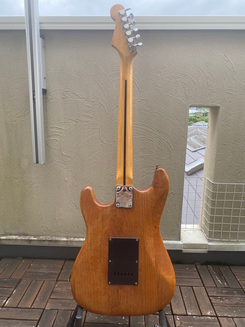 Aria proII(ストラトキャスター タイプ/コンポーネント)