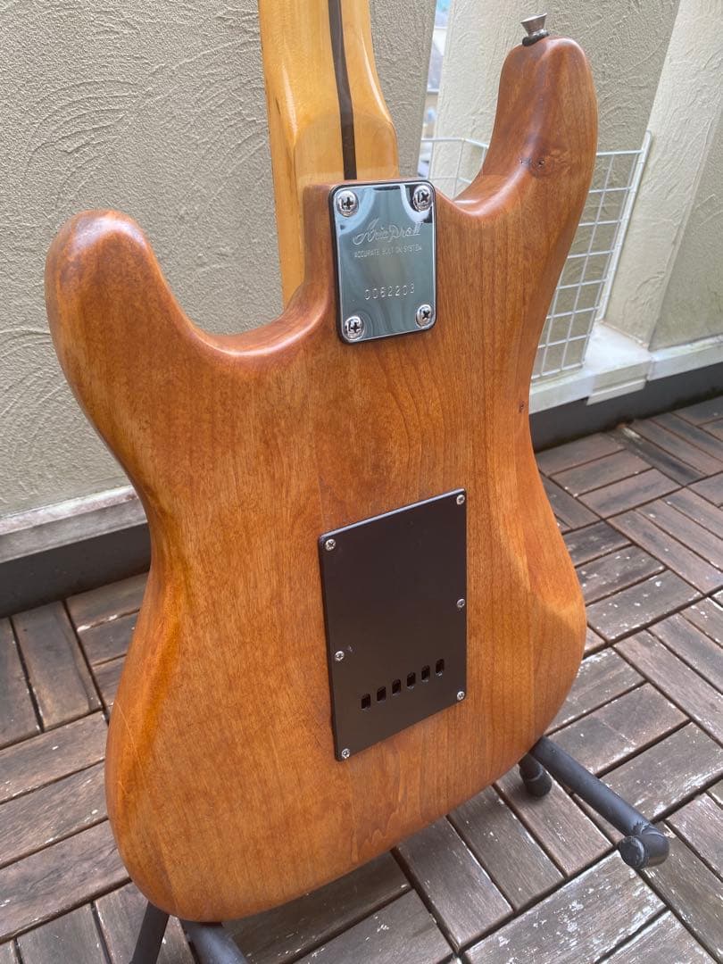 Aria proII(ストラトキャスター タイプ/コンポーネント)