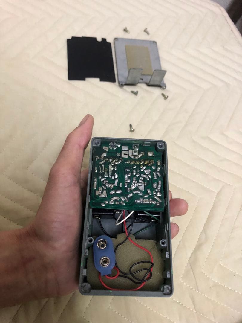 アイバニーズヴィンテージts808