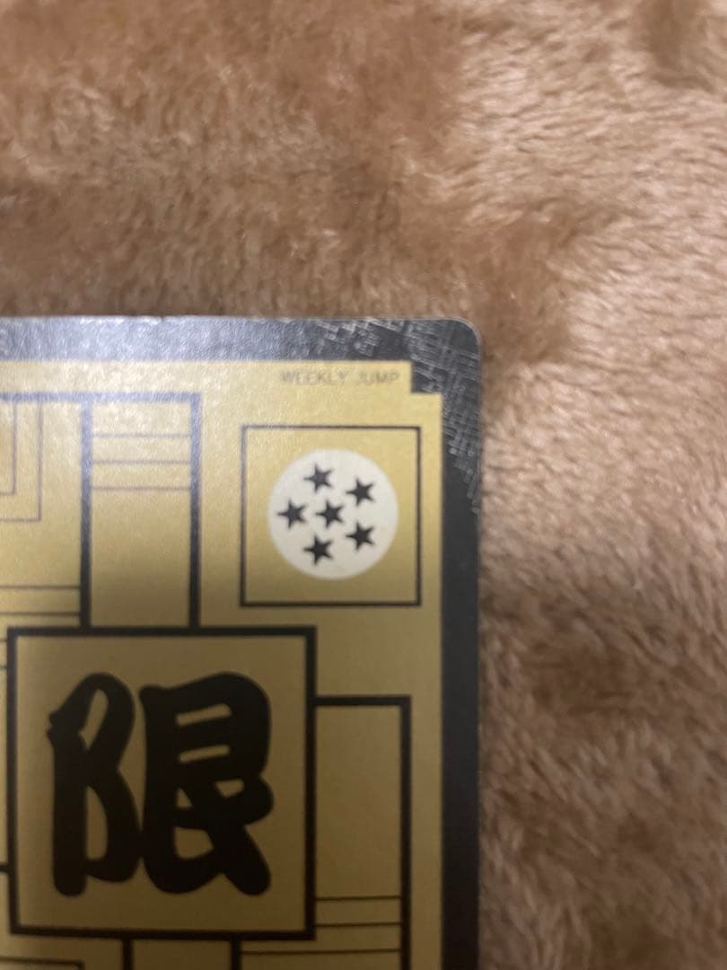 ドラゴンボールカードダスめちゃんこプロジェクトNo.Ⅵファミリー