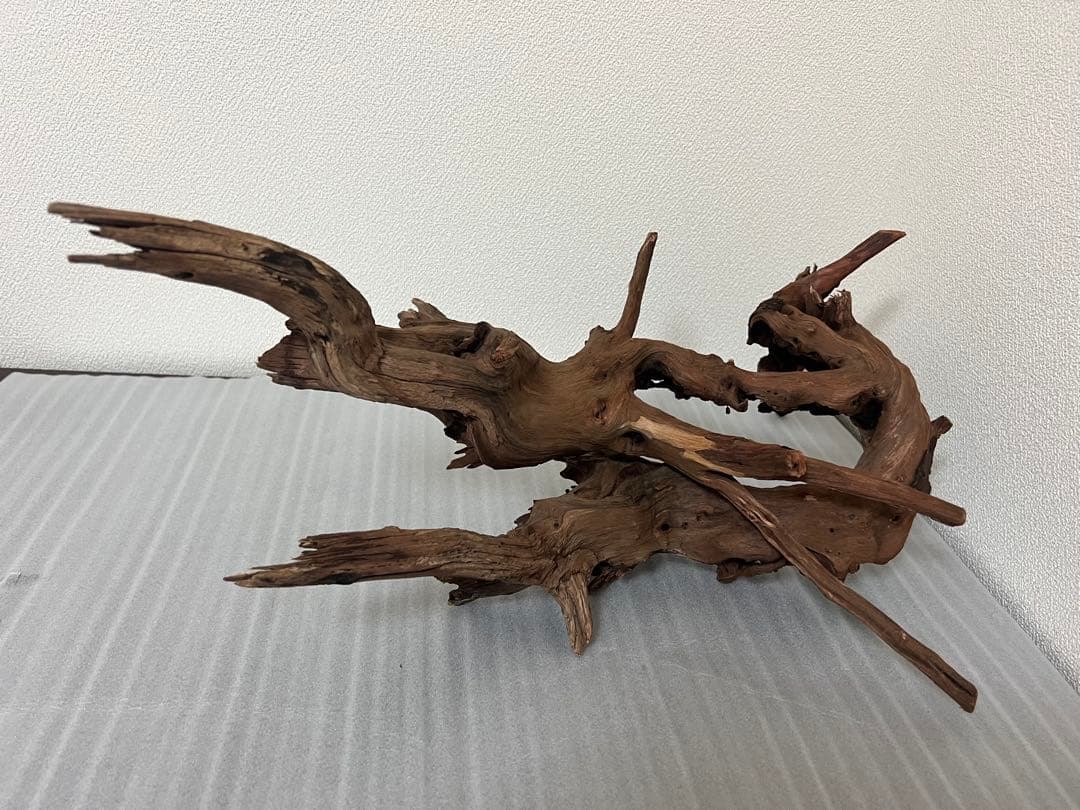 HX-076流木　ホーンウッド　マシンガンウッド　アクアリウム　ブランチウッド