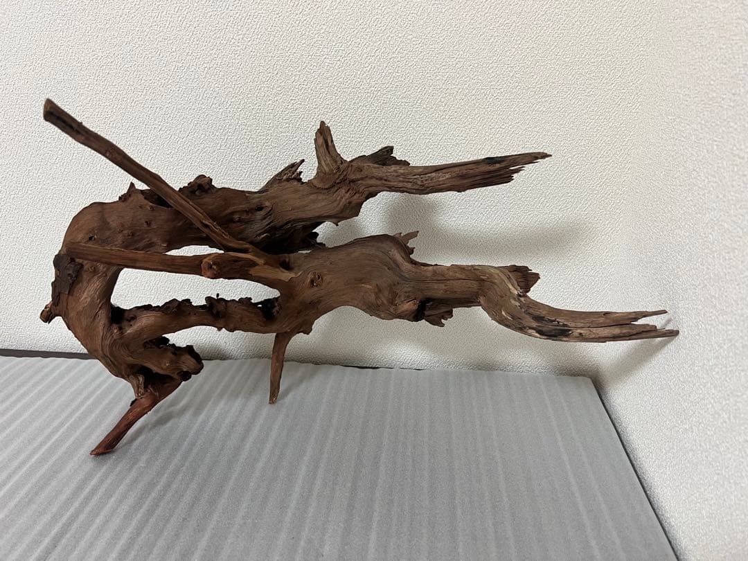 HX-076流木　ホーンウッド　マシンガンウッド　アクアリウム　ブランチウッド