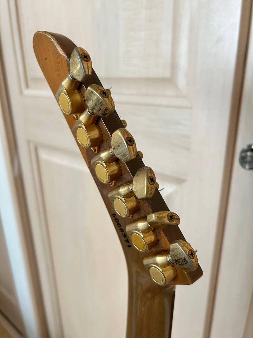 Orville by Gibson Explorer オービルバイギブソン寺田