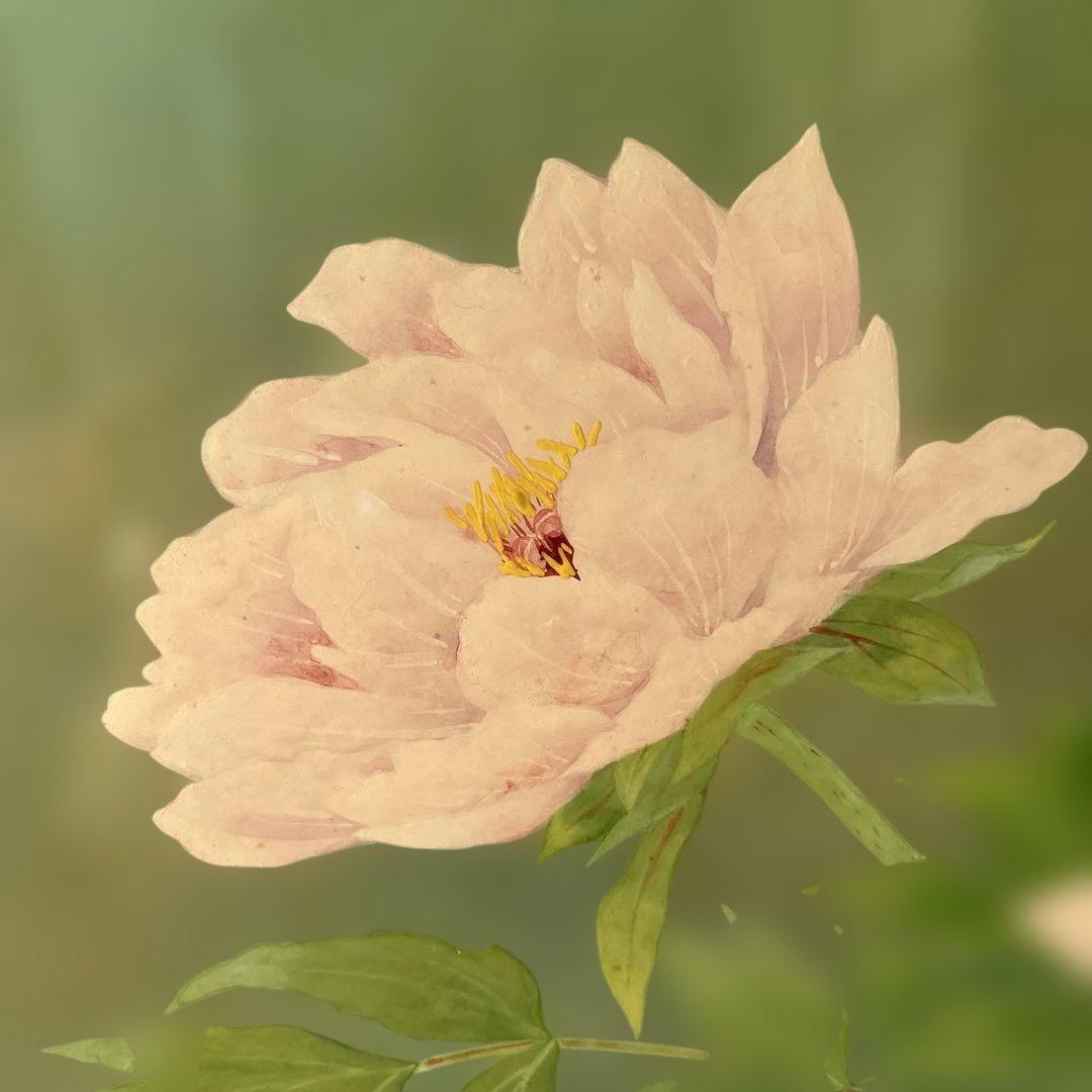 絵画　牡丹　　⚠️素人画