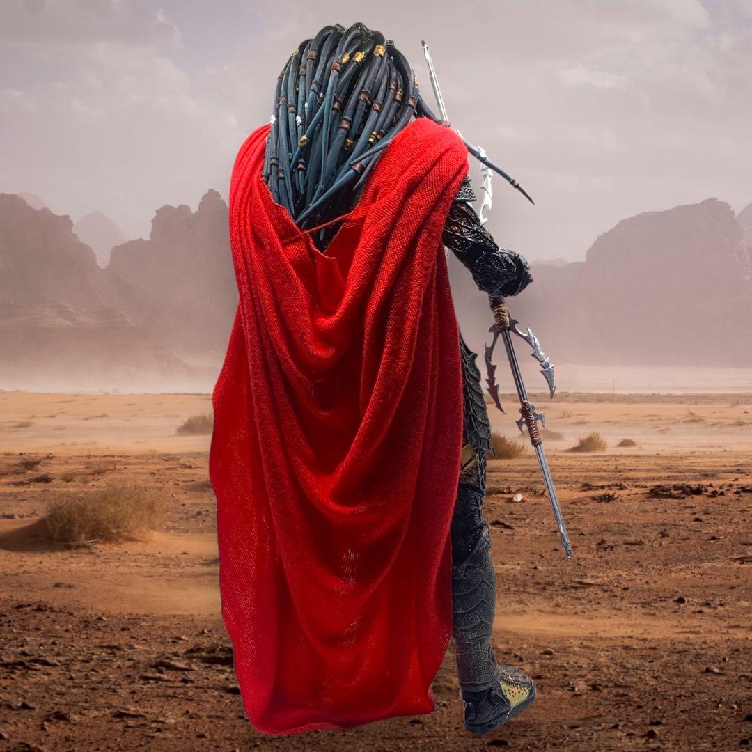 レア　プレデター　フィギュア　AVPエルダー　 ネカ　NECA 7インチ