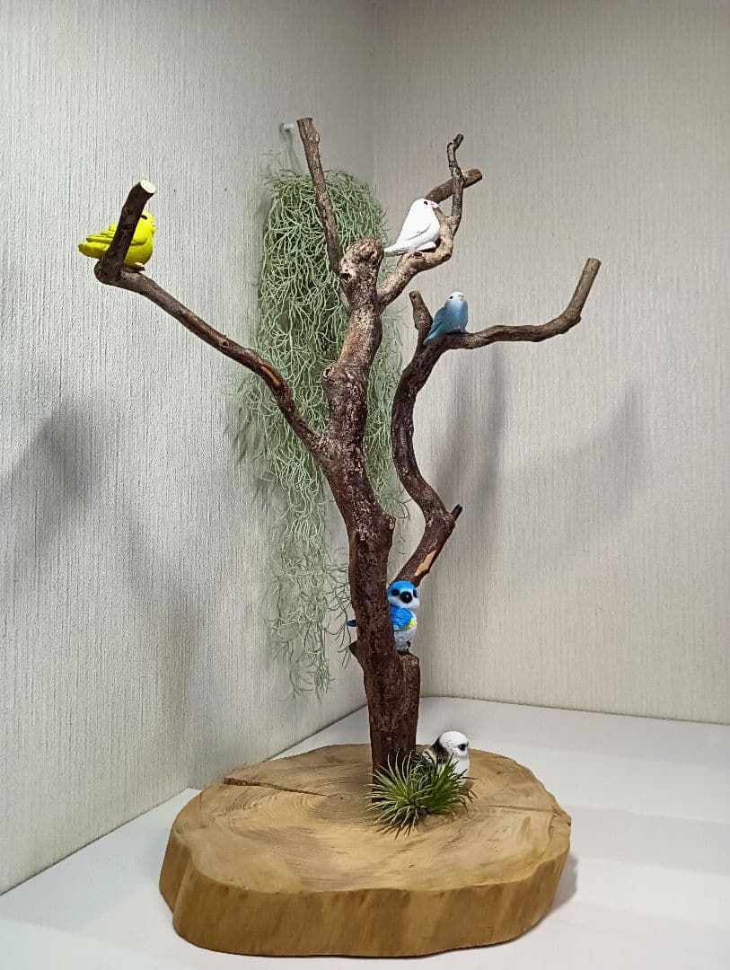 流木527　小鳥止まり木　卓上　バードアスレチック