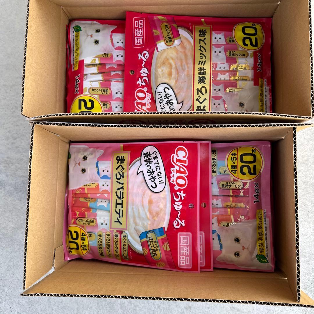 猫　　最終値下げしました！