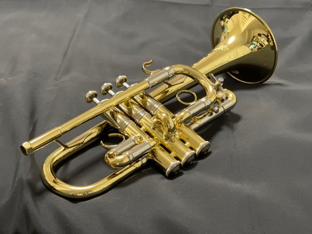 V.BachアルティザンE♭管 AE190GL 長谷川智之氏選定品 [中古]