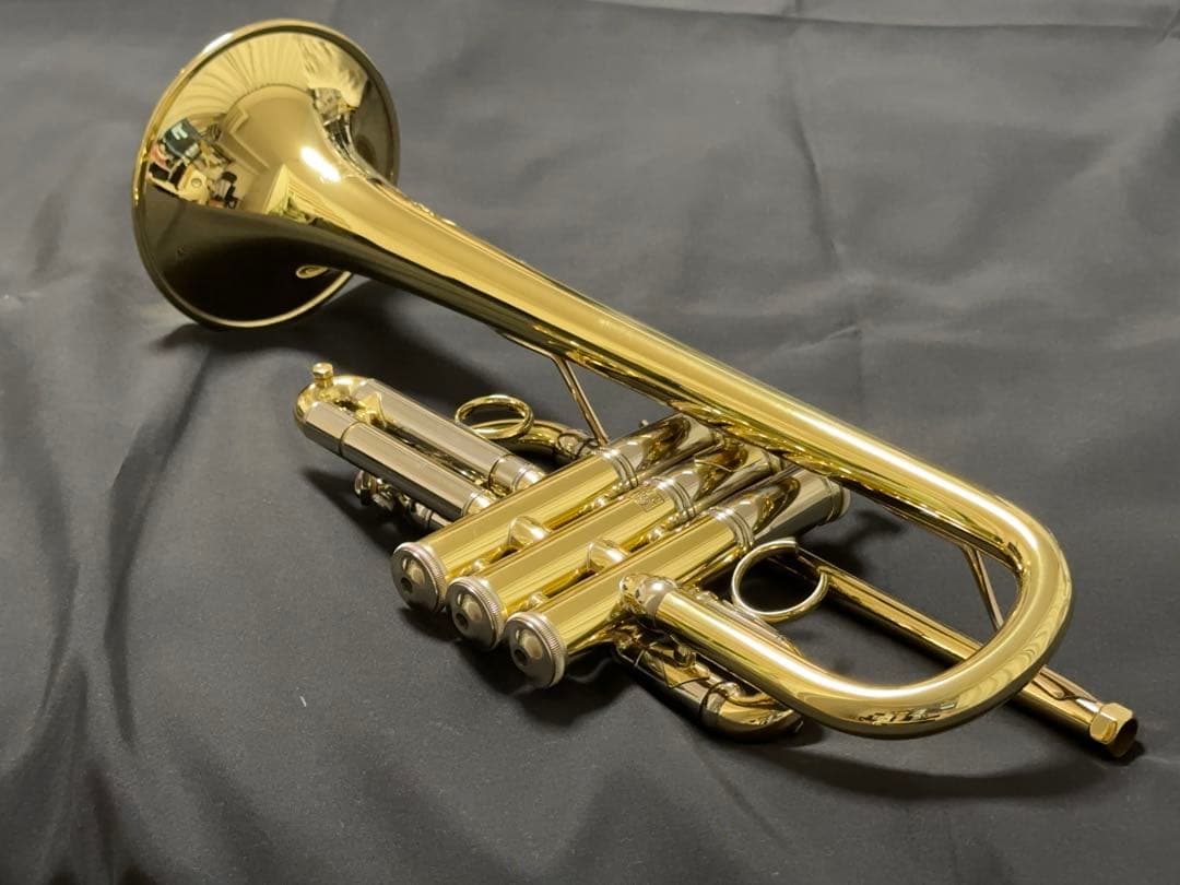 V.BachアルティザンE♭管 AE190GL 長谷川智之氏選定品 [中古]