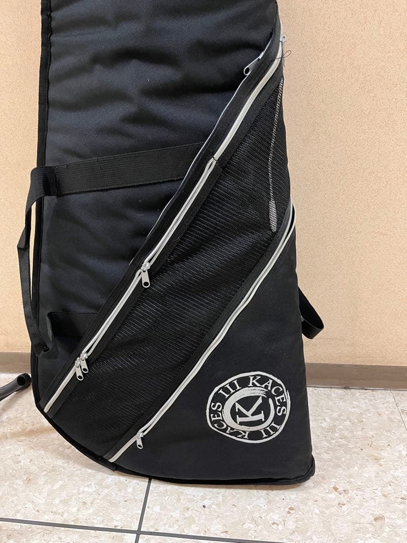 エレキギター　レジェンド　Aria Pro II