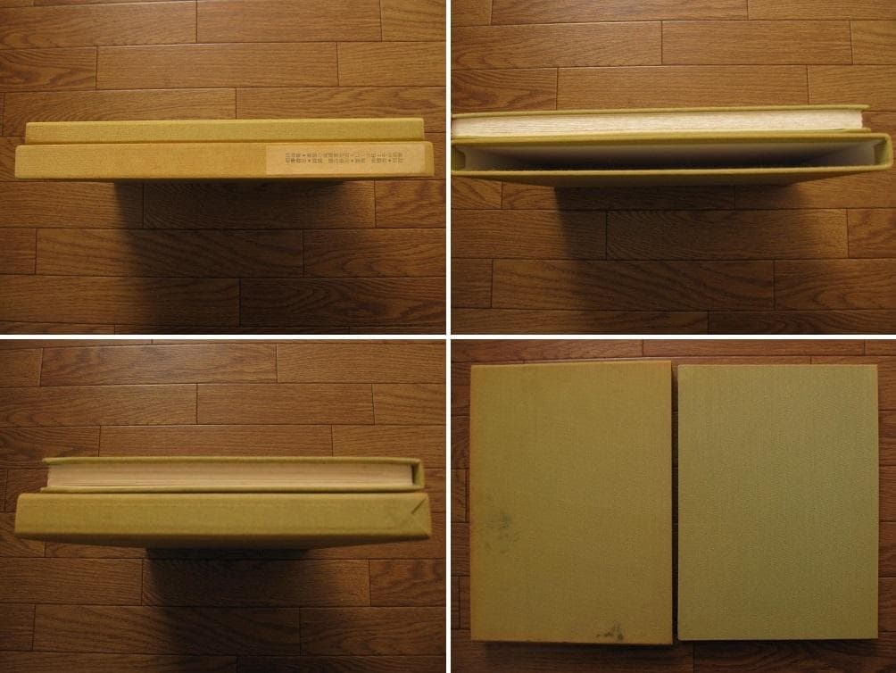 悪徳の暹羅双生児もしくは柱とその崩壊　相澤啓三　建石修志　リトグラフ 限定50部