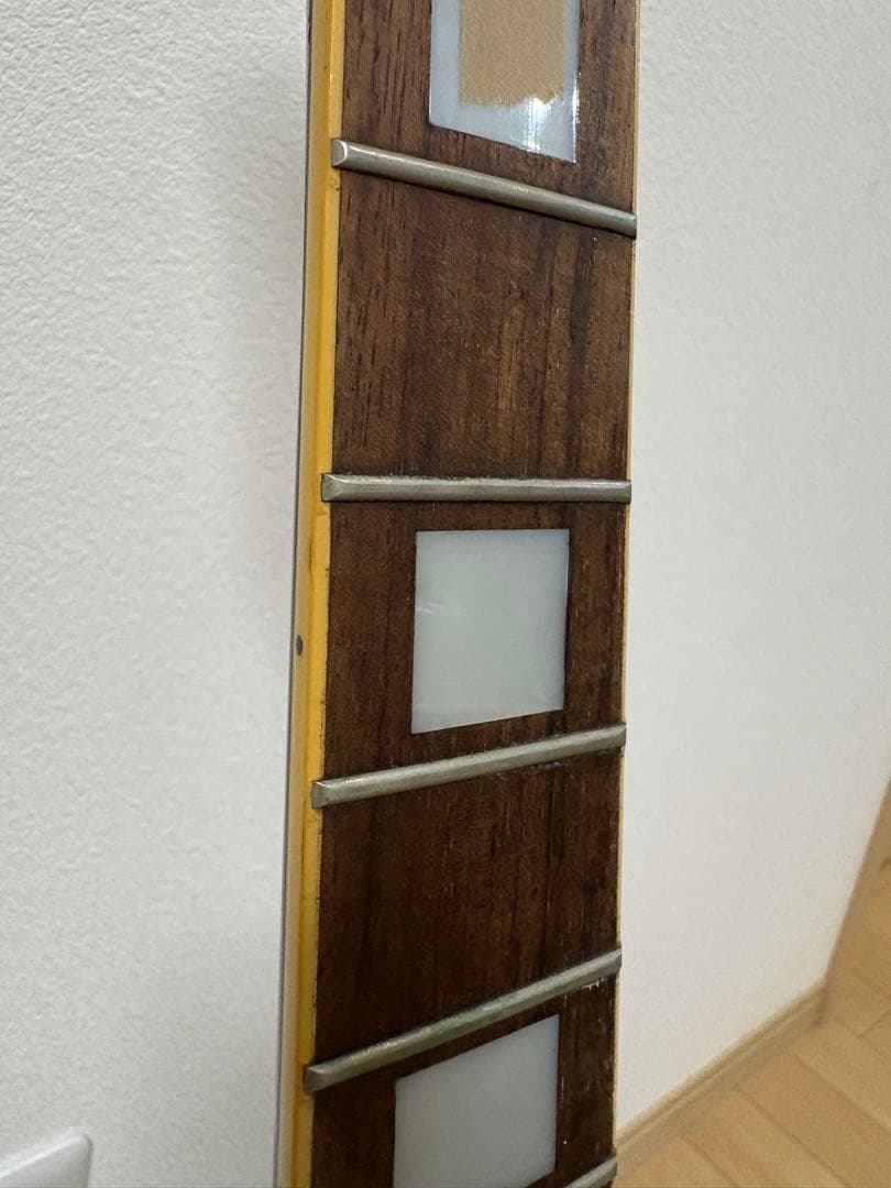 Epiphone Les Paul Custom 抜け殻