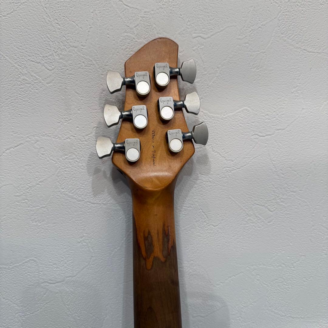 Patrick eggle new york standardハードケース付き