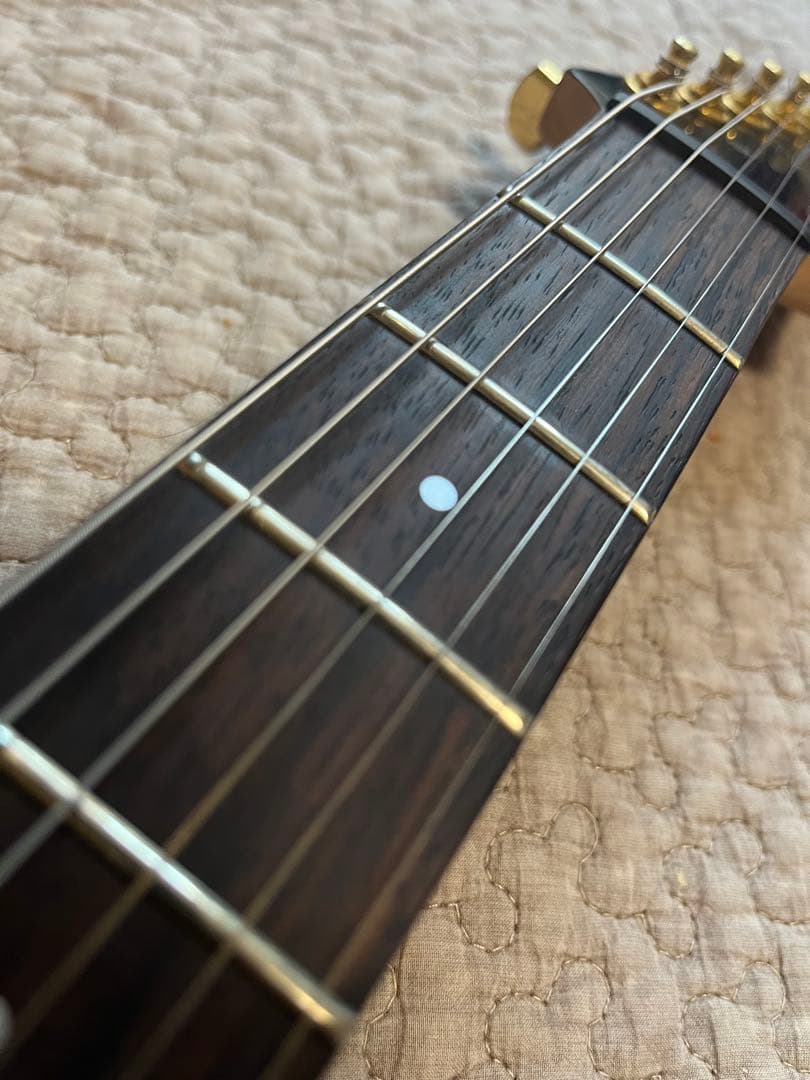 Fernandes フェルナンデス　FGZ-420 グラデーションカラー