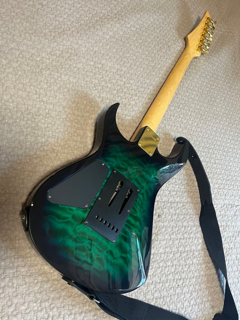 Fernandes フェルナンデス　FGZ-420 グラデーションカラー