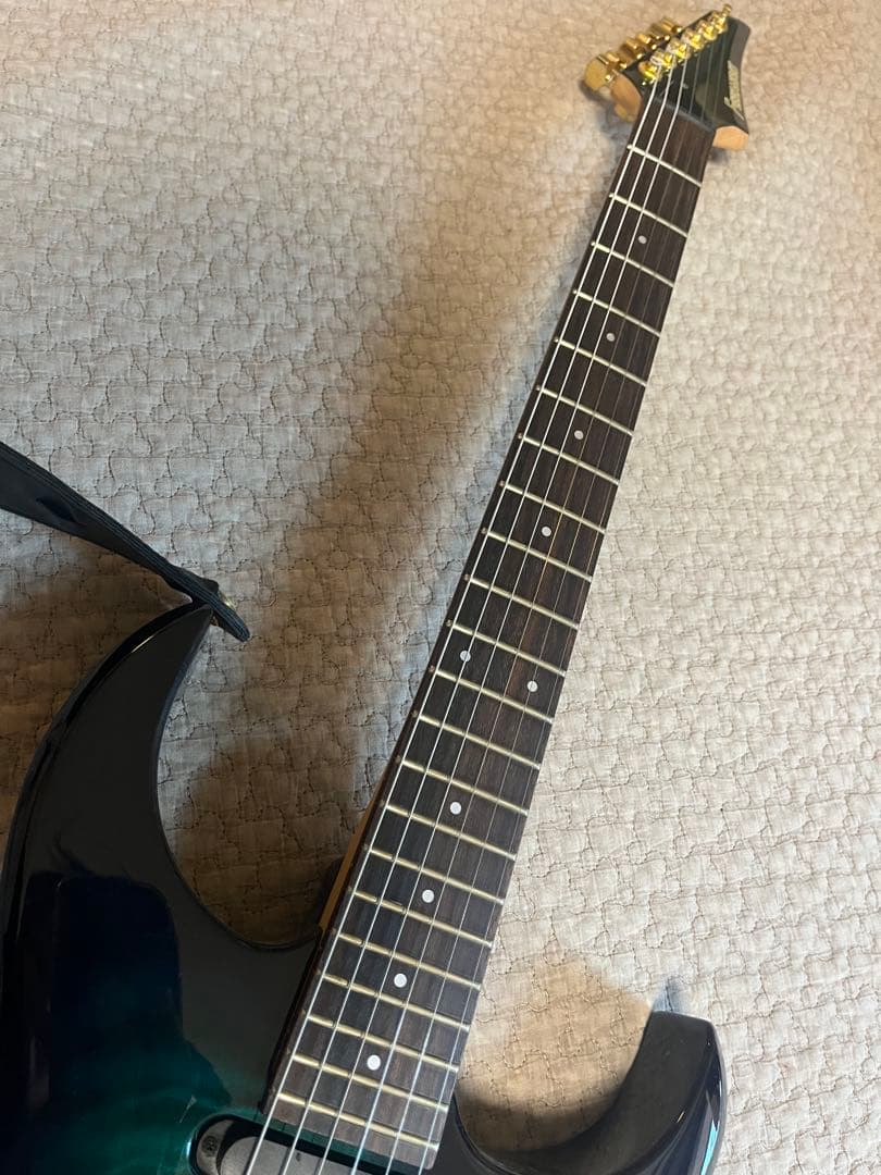 Fernandes フェルナンデス　FGZ-420 グラデーションカラー