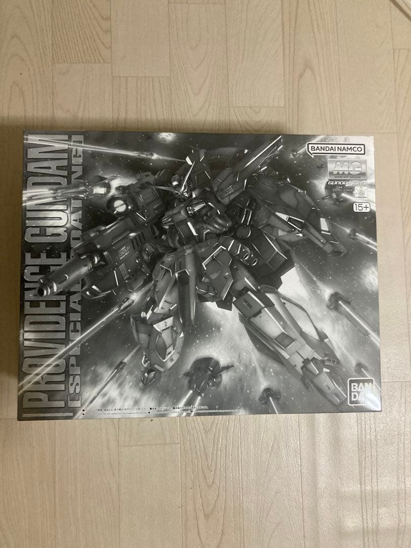 MG プロヴィデンスガンダム スペシャルコーティング