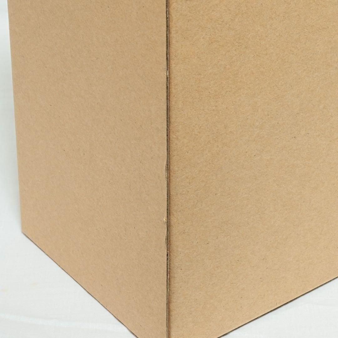 【未開封】S.H.MonsterArts ゴジラ対エヴァンゲリオン モンアツ