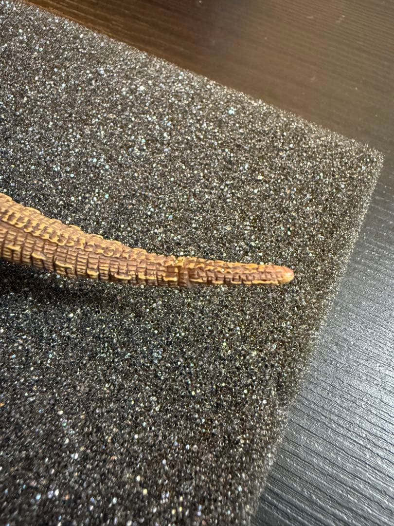 地球最古の恐竜展　サウロスクス　本格復元フィギュア