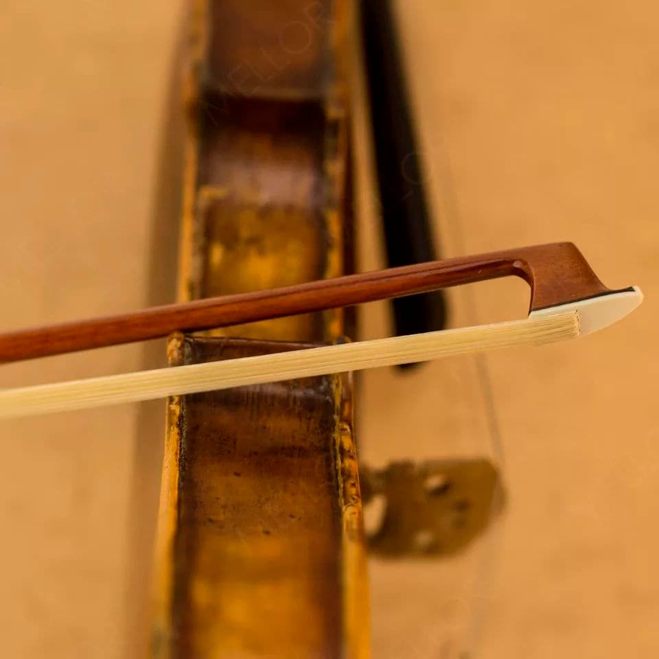 Pygmalius ピグマリウス バイオリン dv-120 Size4/4 　B