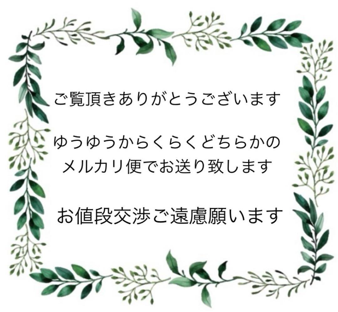 【ヴィンテージ】PARKER ジョッター 年代物 50年前？