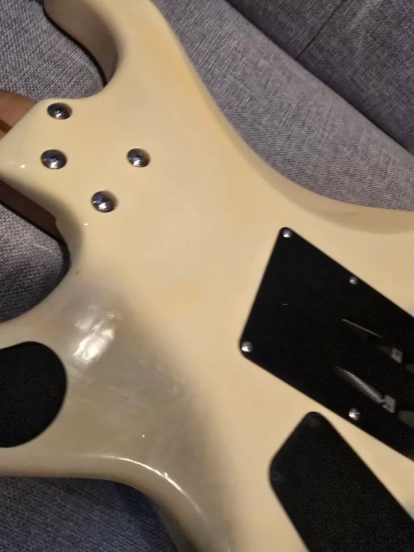 ESP カスタムオーダー エレキギター