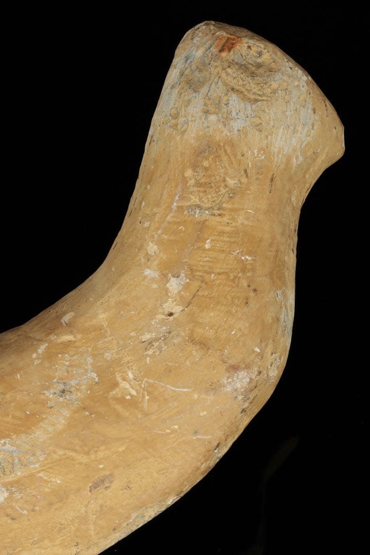 白亜紀前期 サンタナ層産 古代魚化石 魚類化石 クラドキクルス 骨格 標本