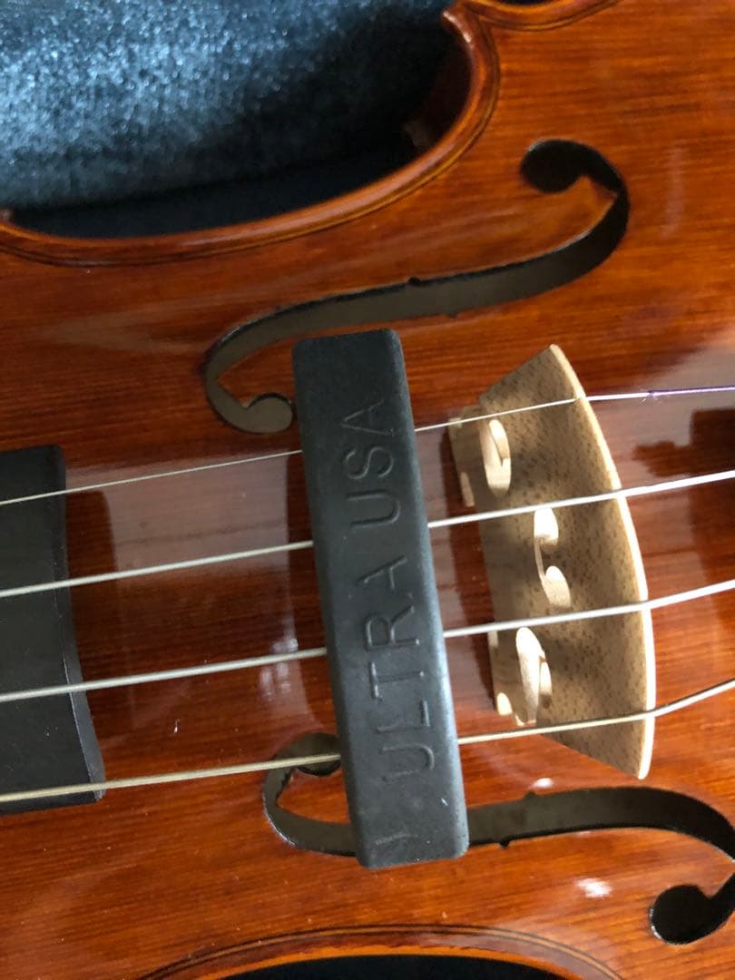 Carlo giordano VS-2 バイオリン本体 茶色 ケース付き