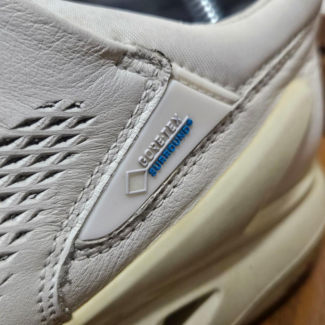 ecco BIOM COOL PRO BOA ゴルフシューズ GORE-TEX