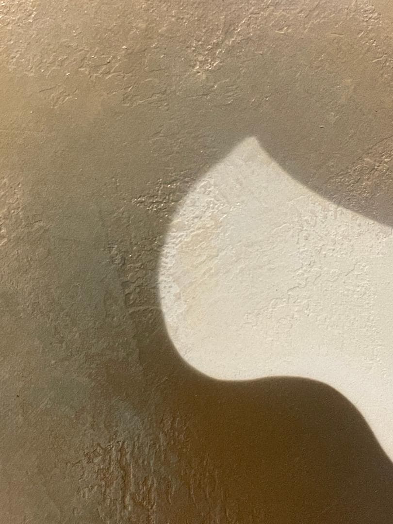 「真作」中原脩「帽子の女」人物画　油彩画　額装　サイン有り　F8号