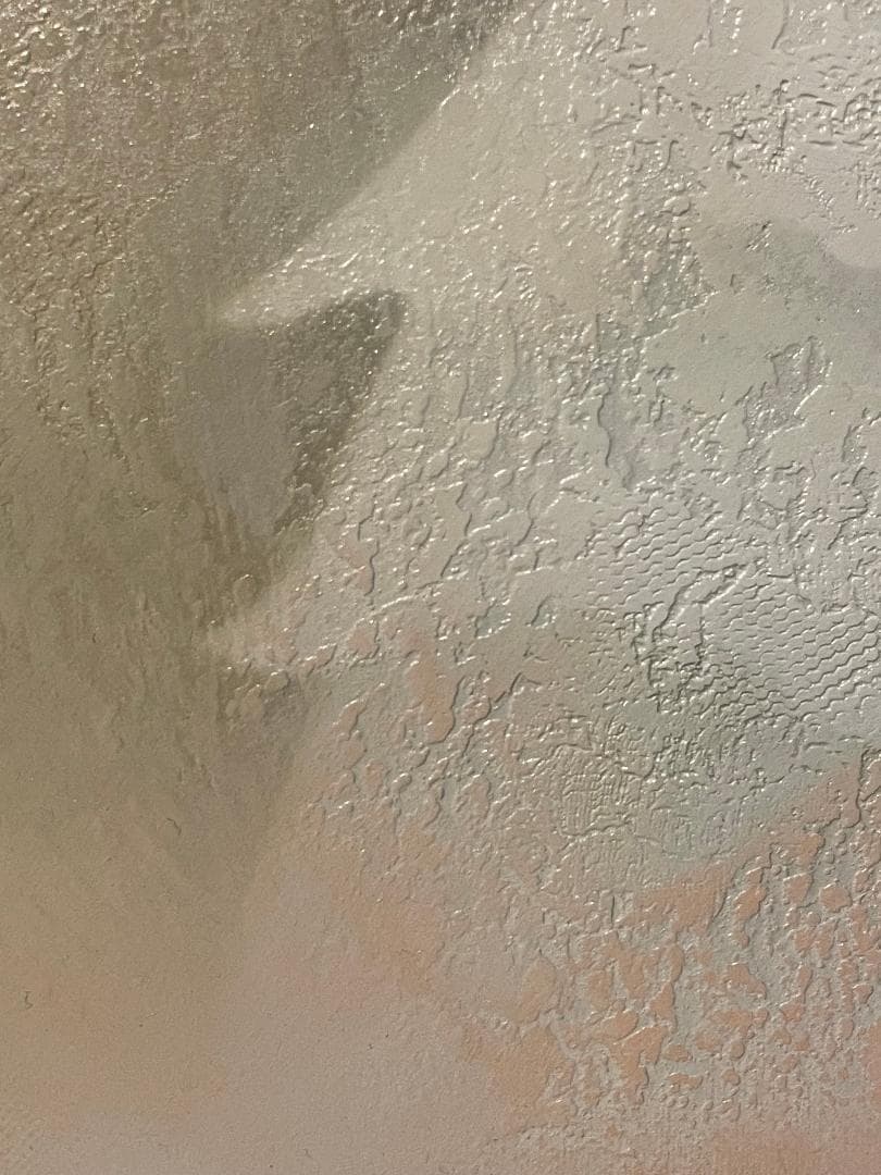 「真作」中原脩「帽子の女」人物画　油彩画　額装　サイン有り　F8号