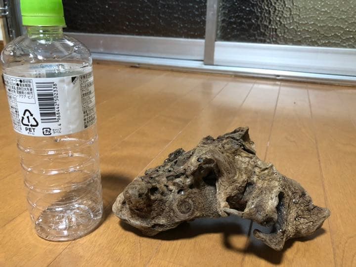 流木中サイズです！