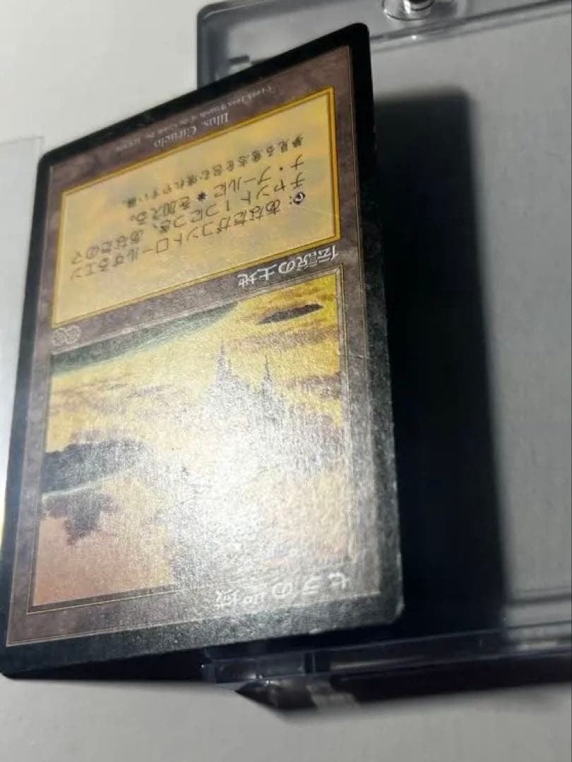 セラの聖域 1枚