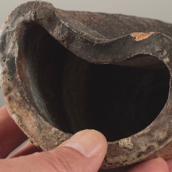 信楽 掛花入 茶道具 花器 古道具 信楽焼 アンティーク