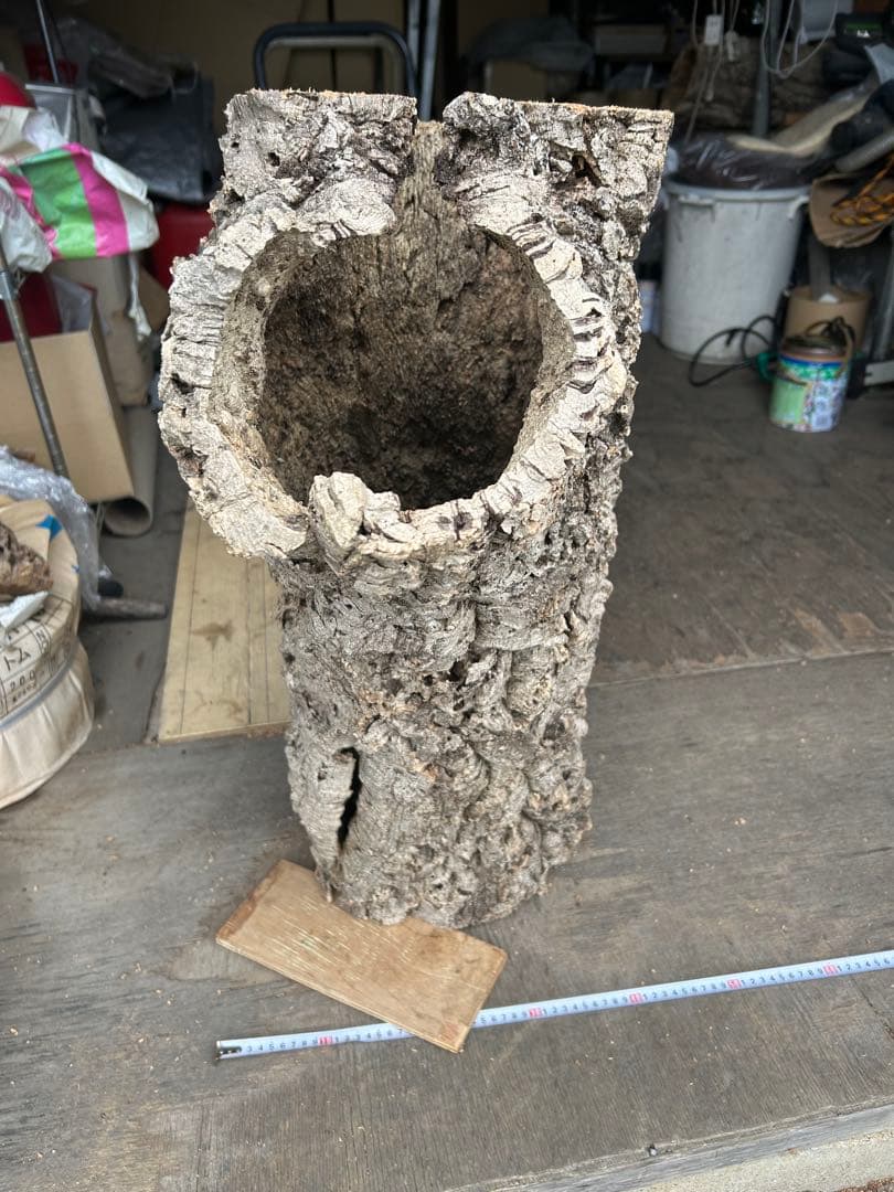 ポルトガル産コルク樹皮 ＰＬ-1002-103Ｌ