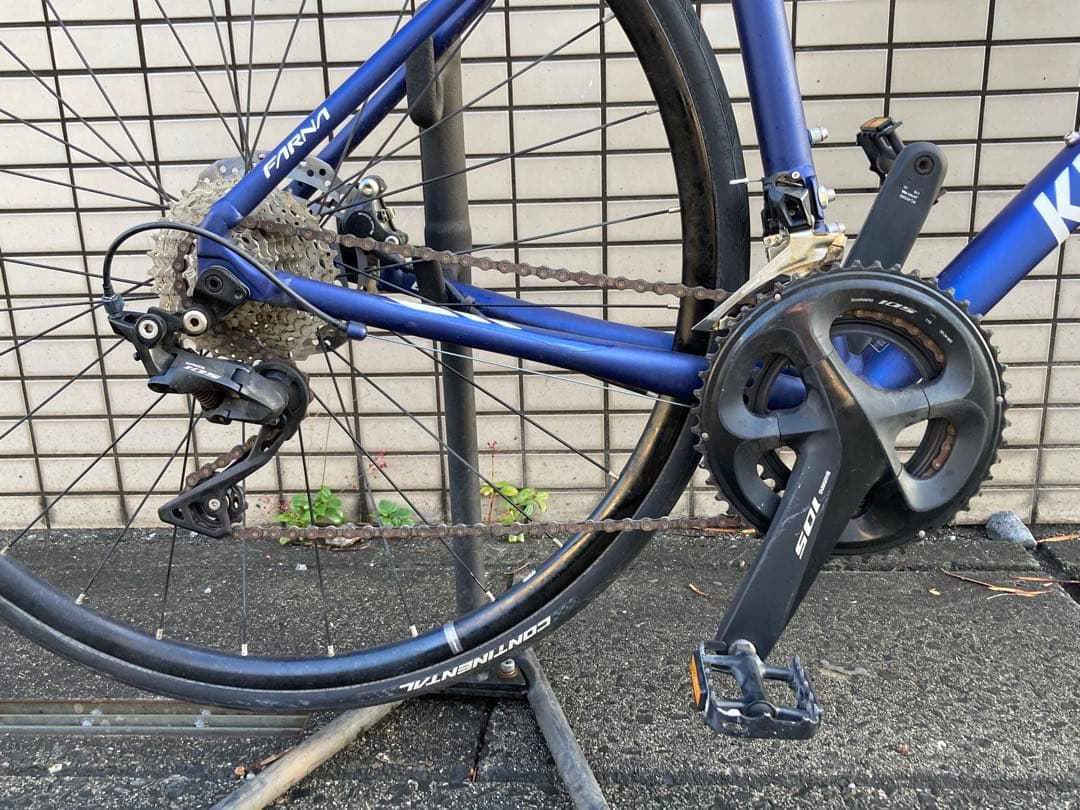 送料込 コーダーブルーム KhodaaBloom FARNA DISC 105