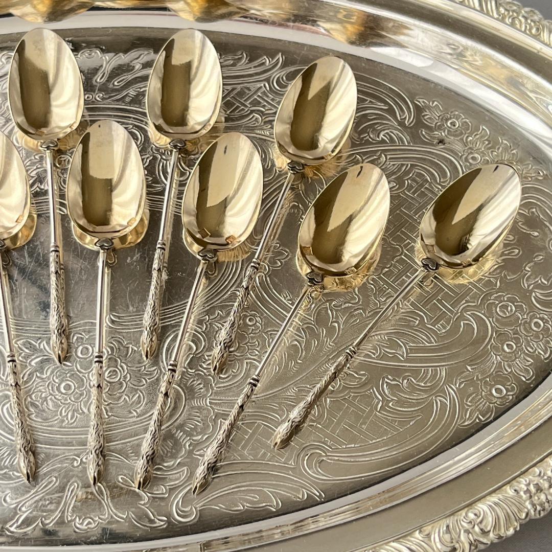 【仏蘭西】 コーヒースプーン　12本【シルバープレート】ケース