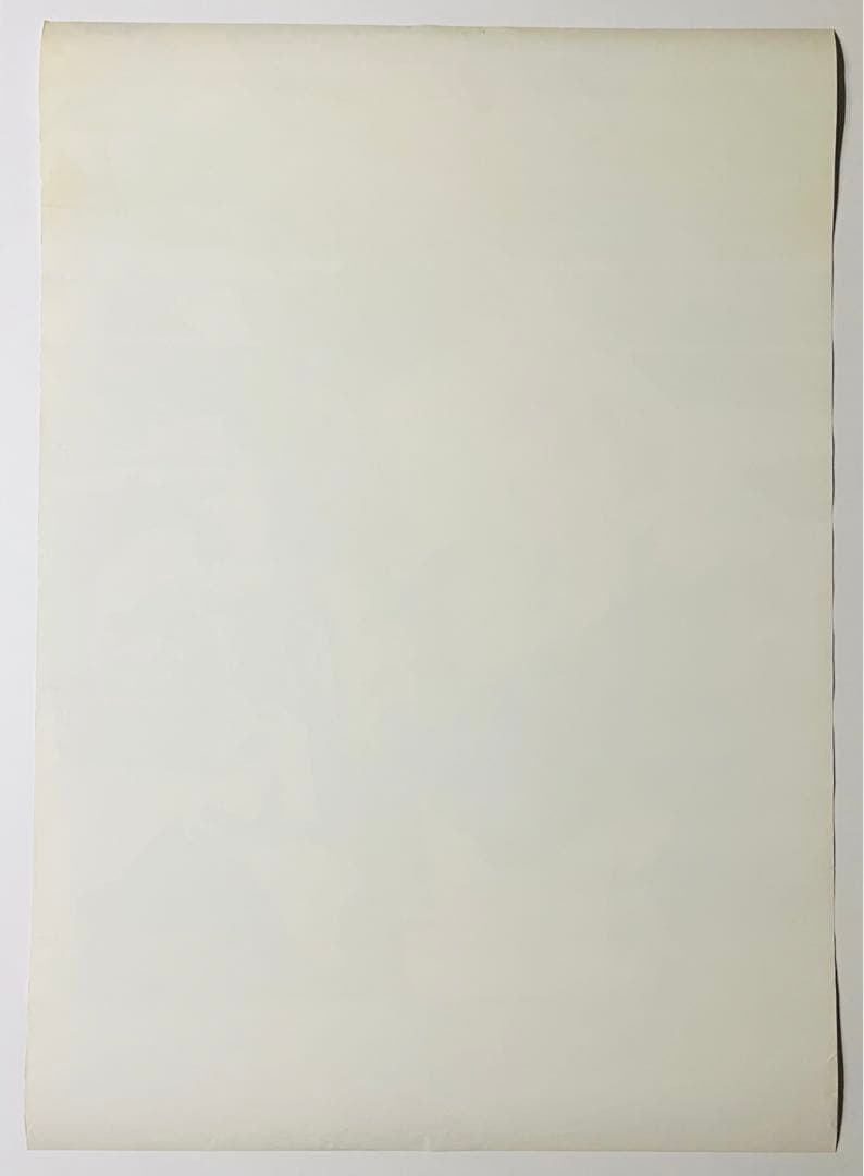 ボクシング　タイソンvsダグラス　世紀の大番狂わせ　東京ショック‼️ 土産ポスター