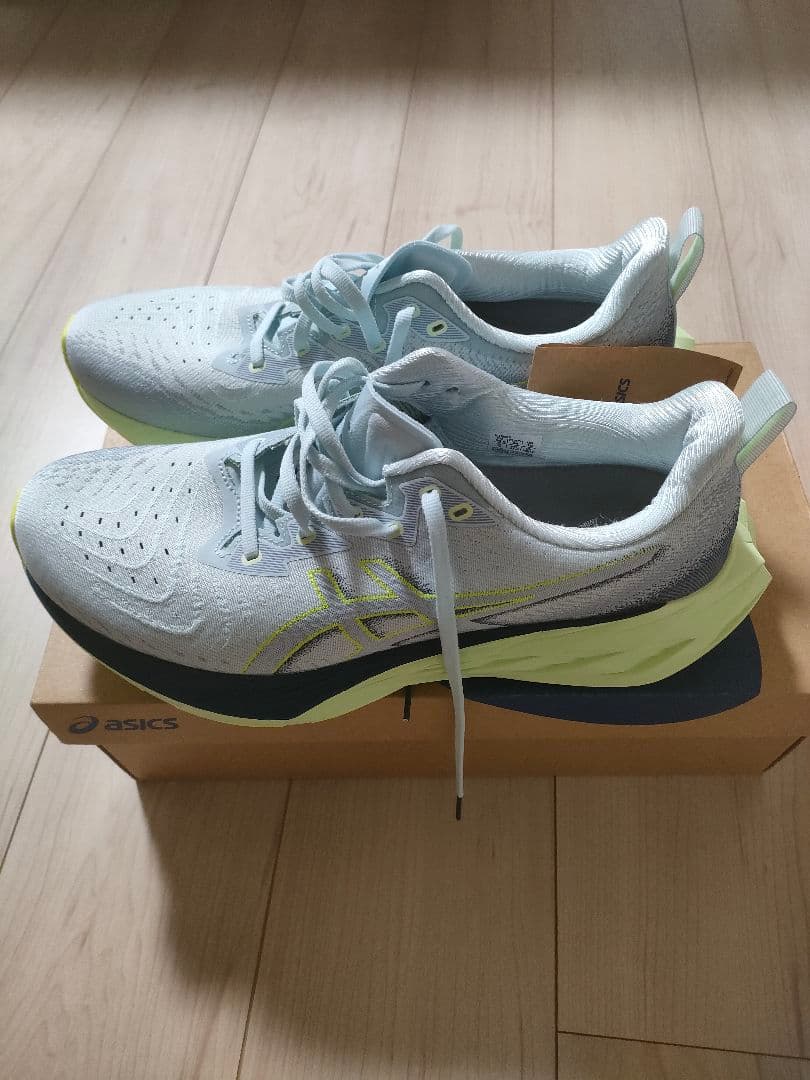 ASICS NOVABLAST4　 ライトグレー　28.0cm