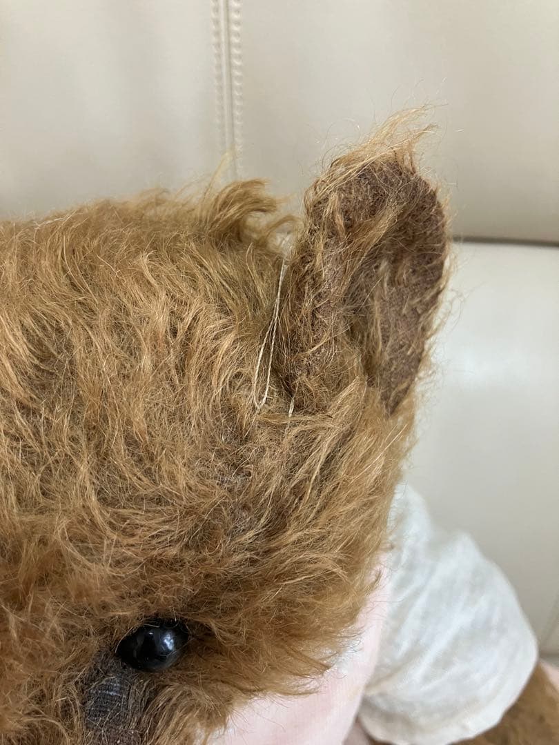 【お値下げ】フォーゲットミーノット　ベア　メアリーさん　アーティスト