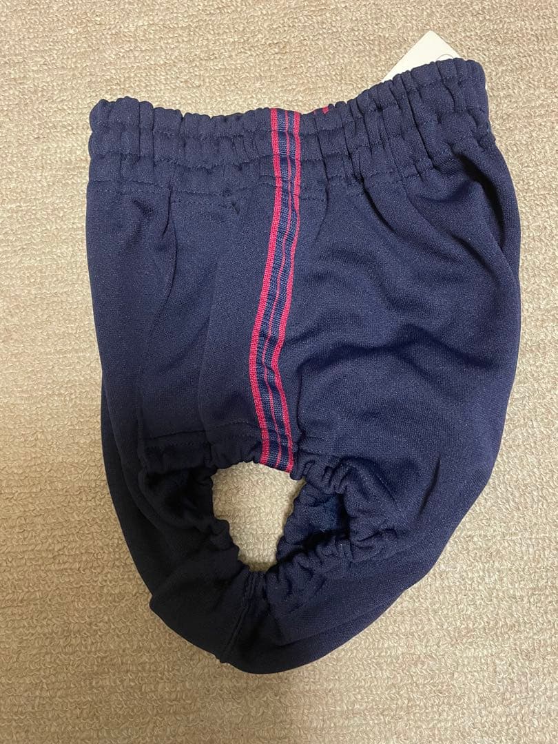 ミズノ MIZUNO アスリート athlete ブルマ S