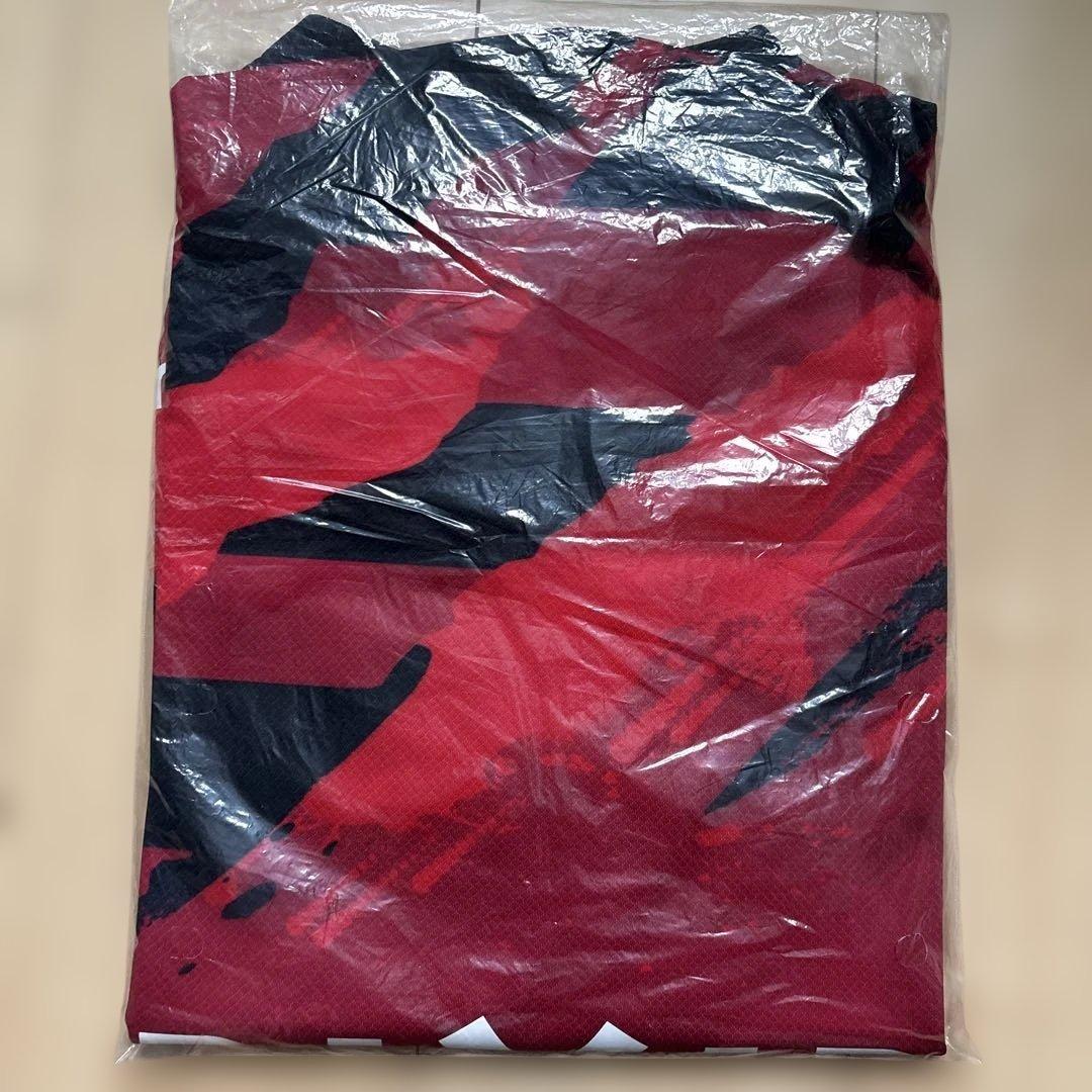 ゴマアント 鹿島アントラーズ 2025年 ユニフォーム XL 背番号なし