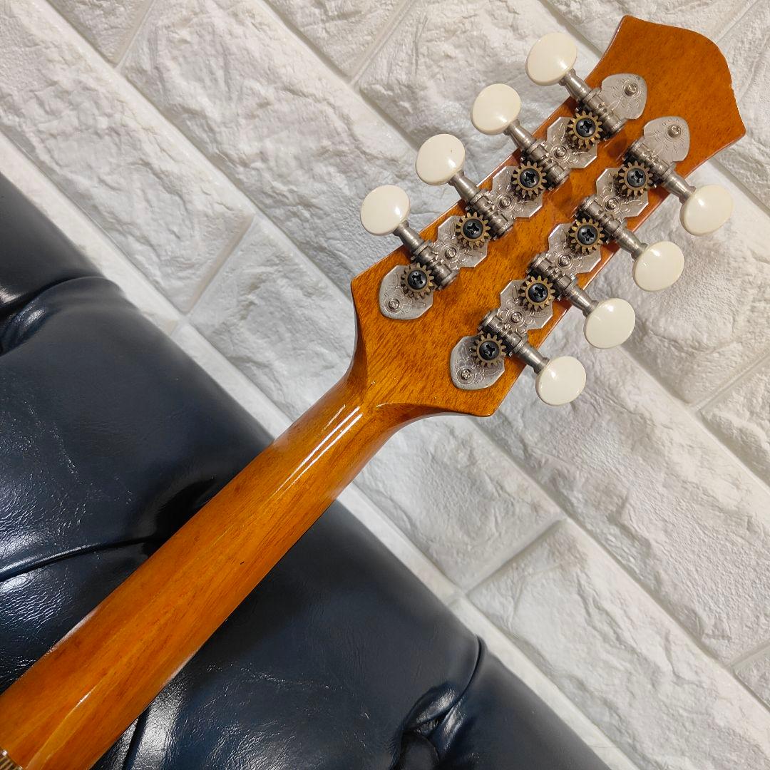 美品 Sofia SM201 マンドリン 寺田楽器 ハードケース付き