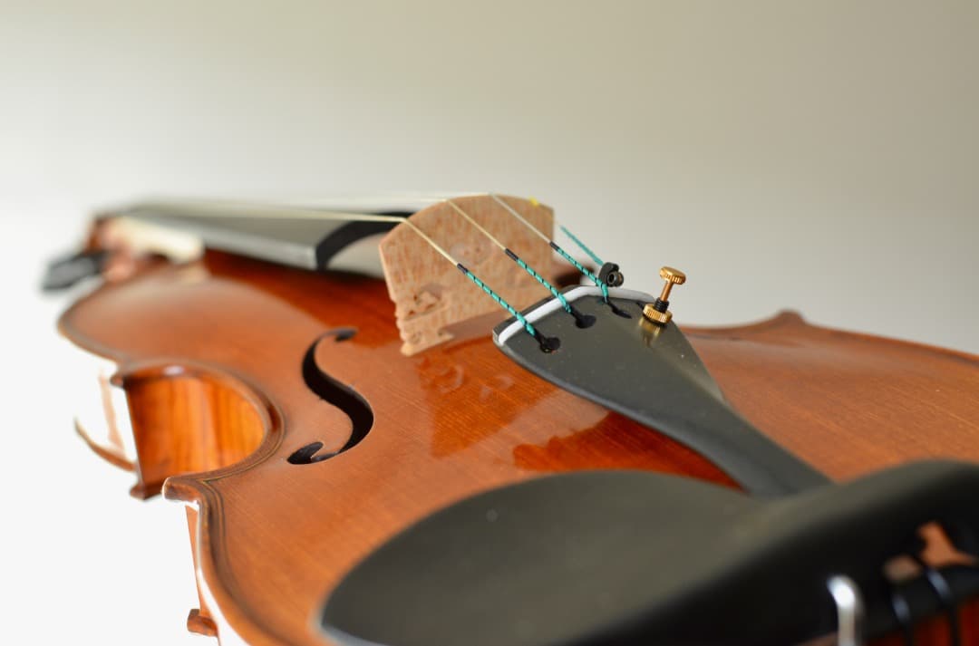 【新品】Gliga Vasile Maestro バイオリン 4/4